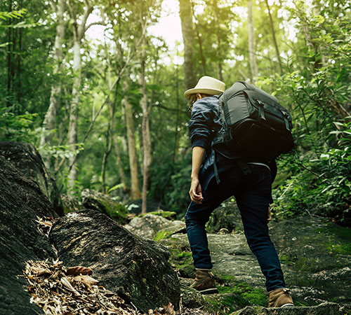 Bhutan's Drukpath Trek, Hiking Amongst The Himalayan Peaks