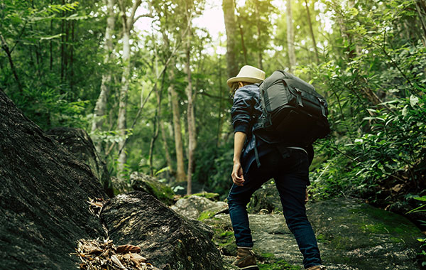 Exclusive Sightseeing